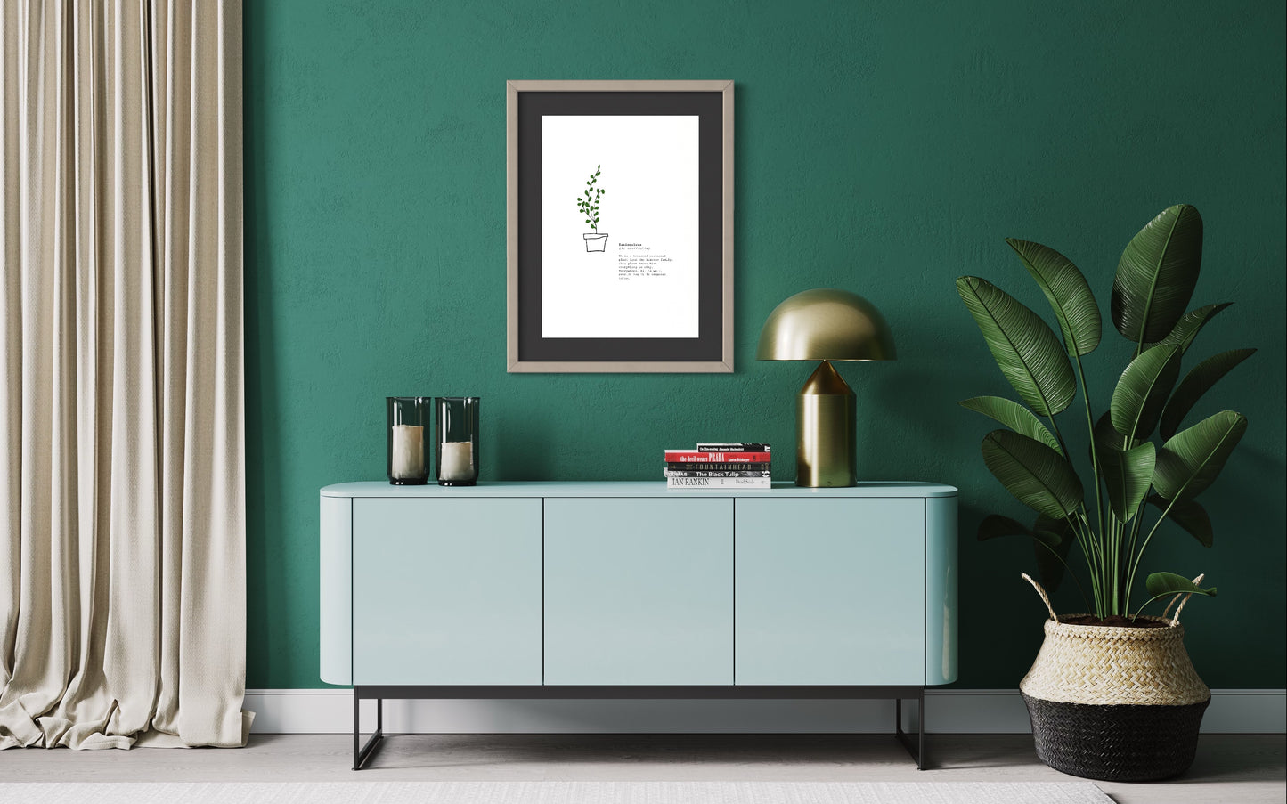 Sabedoria das Plantas – Zamioculcas